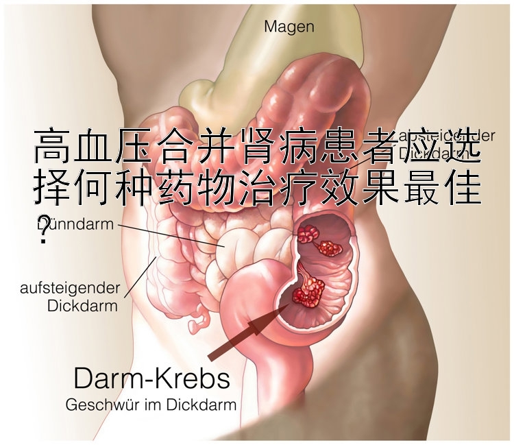 高血压合并肾病患者应选择何种药物治疗效果最佳？