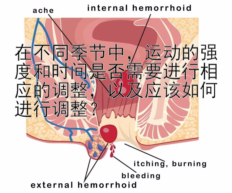 在不同季节中，运动的强度和时间是否需要进行相应的调整，以及应该如何进行调整？